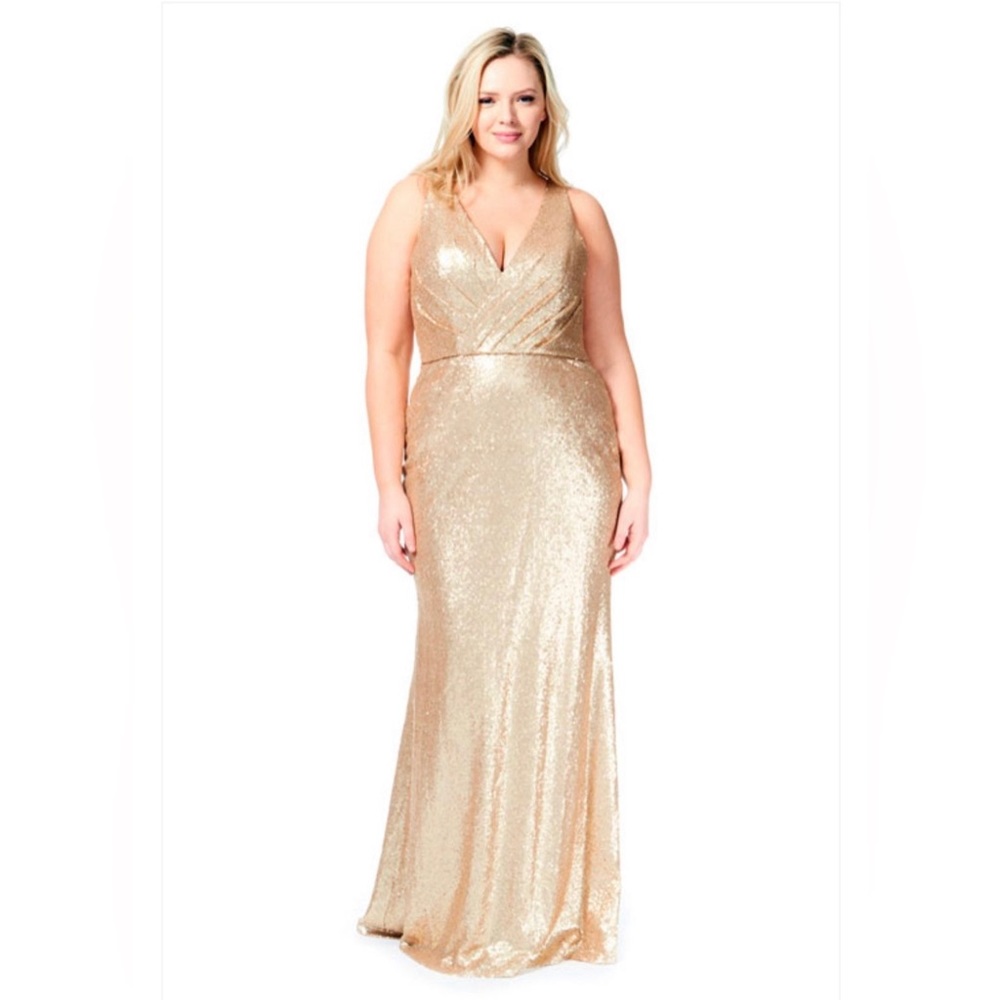 Plus Size Bari Jay Sequin Dress